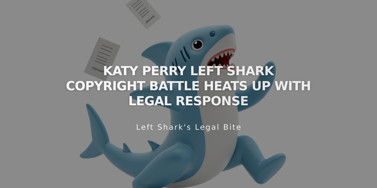 Katy Perry Left Shark Copyright Battle Heats Up With Legal Response