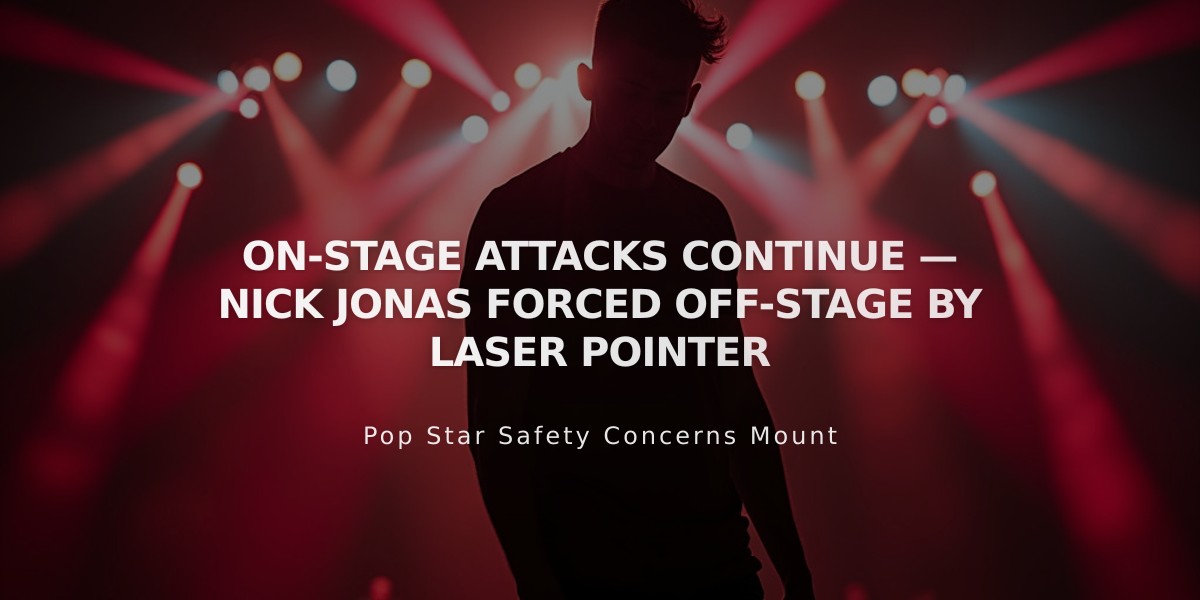 Laser Pointer Forces Nick Jonas to Halt Prague Concert Mid-Performance