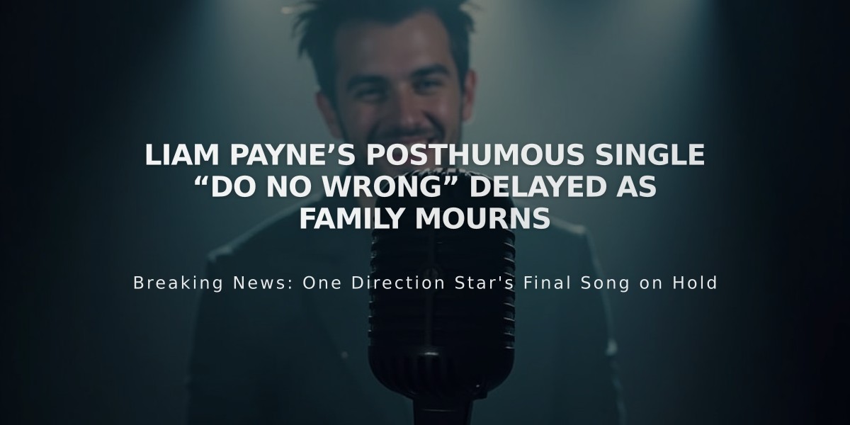 Liam Payne's Final Single "Do No Wrong" Release Postponed Out of Respect for Family