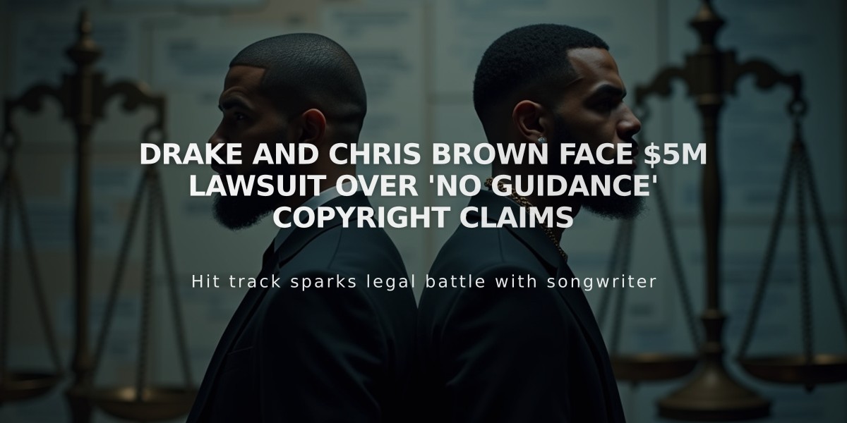 Drake and Chris Brown Face $5M Lawsuit Over 'No Guidance' Copyright Claims