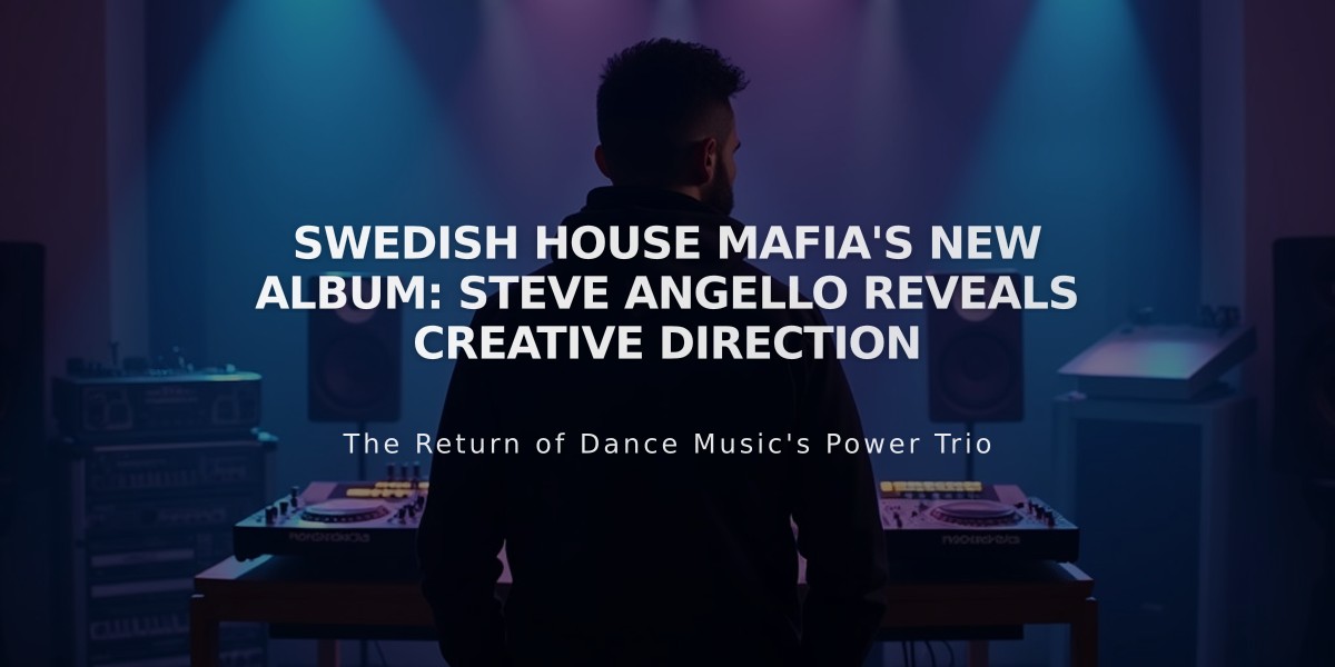 Swedish House Mafia's New Album: Steve Angello Reveals Creative Direction