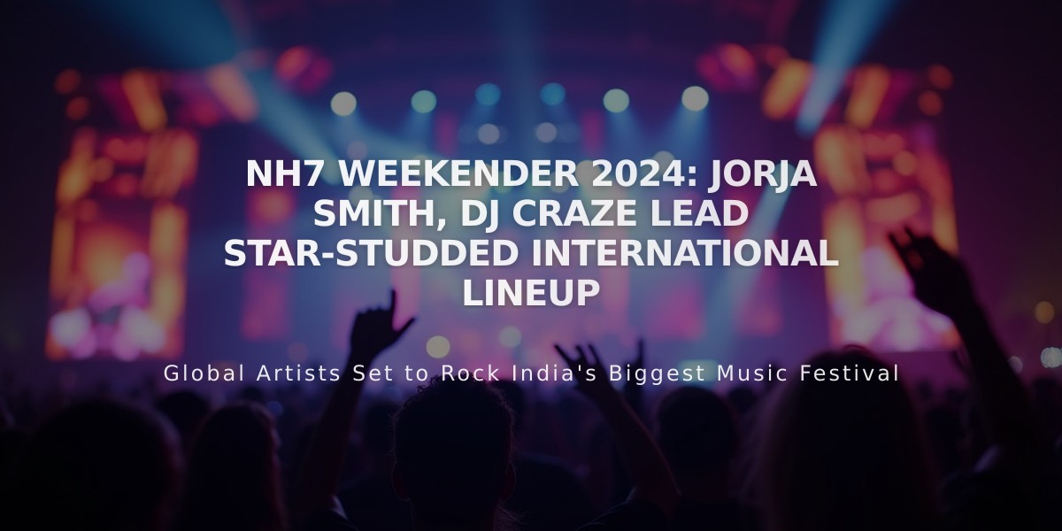 NH7 Weekender 2024: Jorja Smith, DJ Craze Lead Star-Studded International Lineup