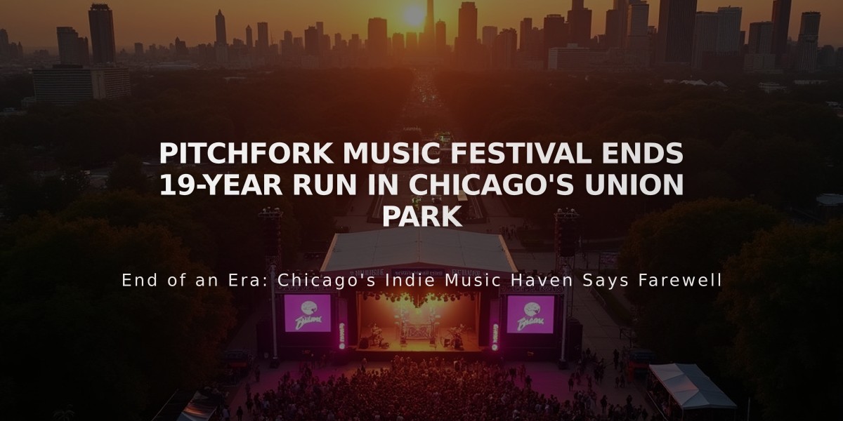 Pitchfork Music Festival Ends 19-Year Run in Chicago's Union Park