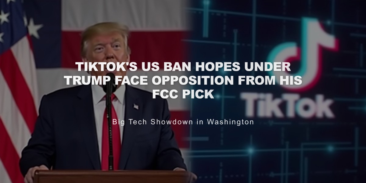 TikTok's US Ban Hopes Under Trump Face Opposition from His FCC Pick