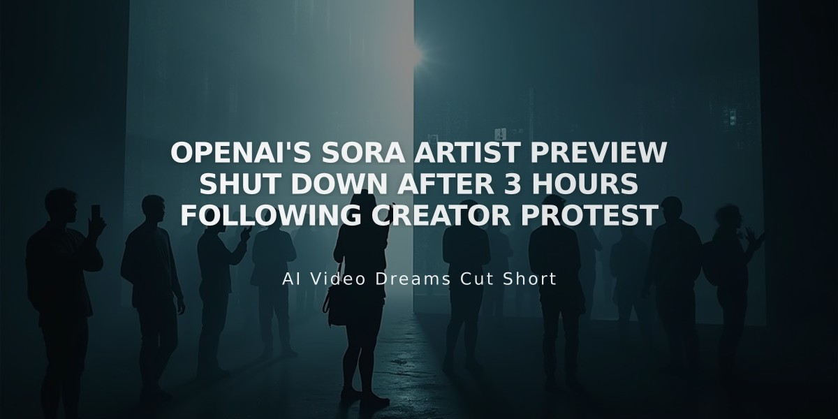 OpenAI's Sora Artist Preview Shut Down After 3 Hours Following Creator Protest