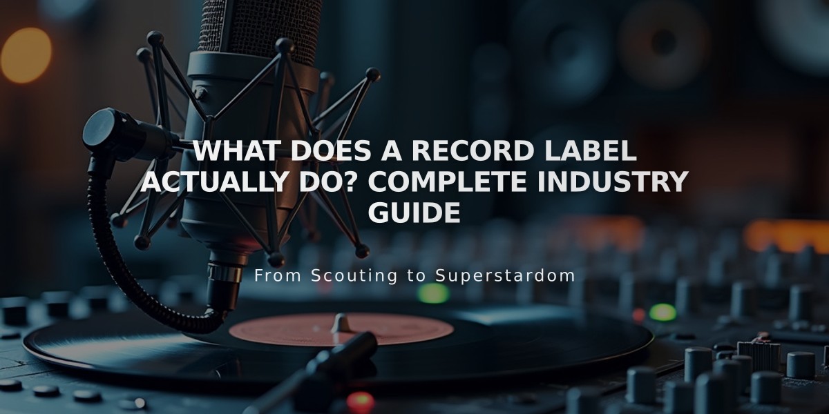 What Does a Record Label Actually Do? Complete Industry Guide