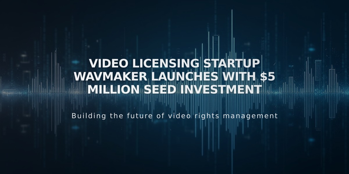 Video Licensing Startup WavMaker Launches With $5 Million Seed Investment