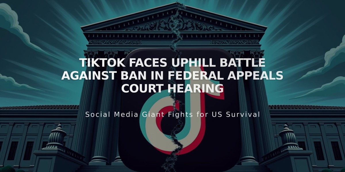 TikTok Faces Uphill Battle Against Ban in Federal Appeals Court Hearing