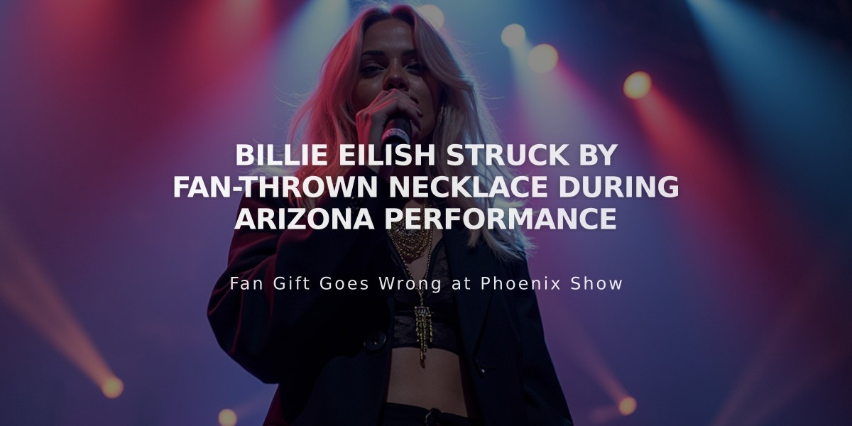 Billie Eilish Struck by Fan-Thrown Necklace During Arizona Performance