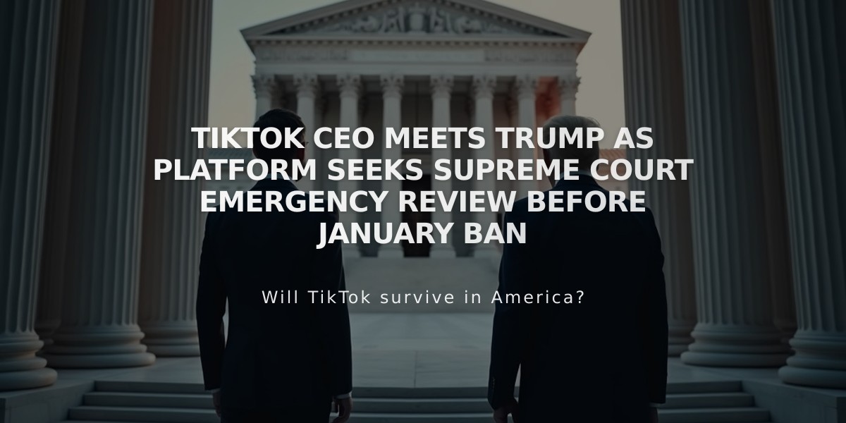 TikTok CEO Meets Trump as Platform Seeks Supreme Court Emergency Review Before January Ban