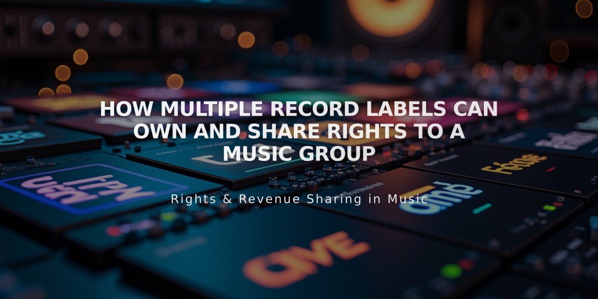 How Multiple Record Labels Can Own and Share Rights to a Music Group