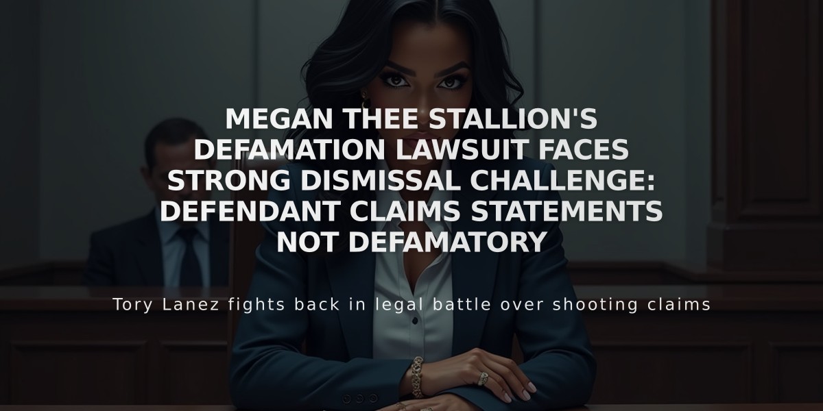 Megan Thee Stallion's Defamation Lawsuit Faces Strong Dismissal Challenge: Defendant Claims Statements Not Defamatory