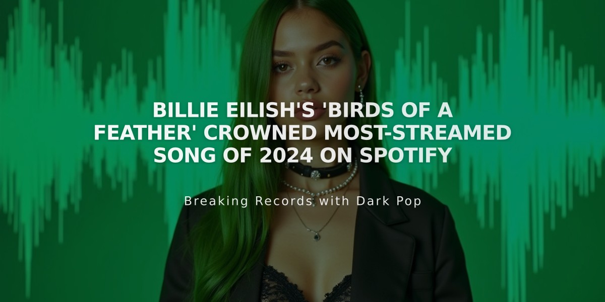 Billie Eilish's 'Birds of a Feather' Crowned Most-Streamed Song of 2024 on Spotify