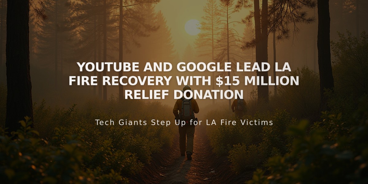 YouTube and Google Lead LA Fire Recovery with $15 Million Relief Donation