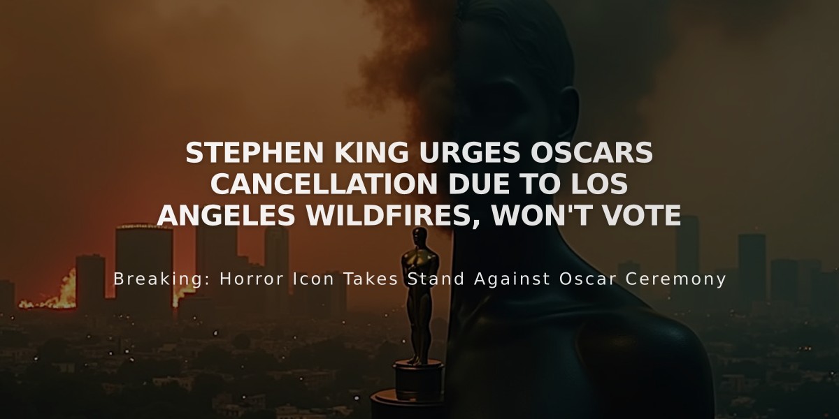 Stephen King Urges Oscars Cancellation Due to Los Angeles Wildfires, Won't Vote