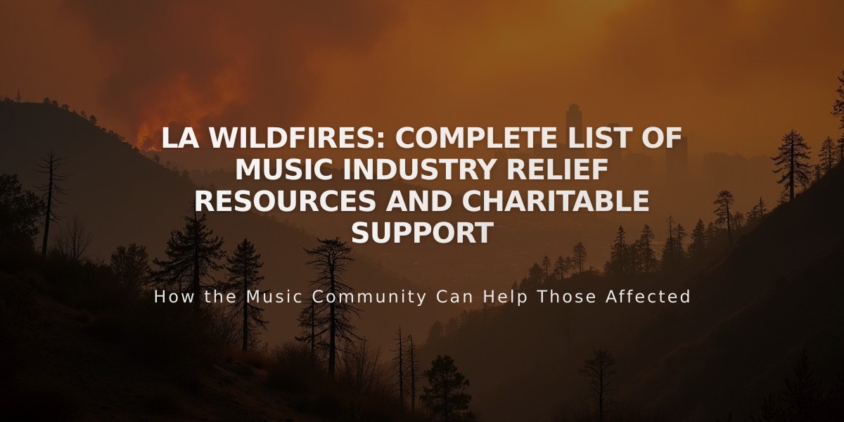 LA Wildfires: Complete List of Music Industry Relief Resources and Charitable Support