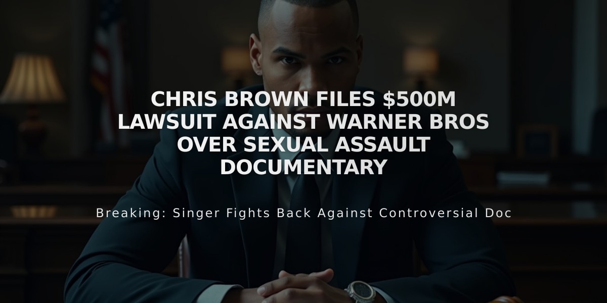 Chris Brown Files $500M Lawsuit Against Warner Bros Over Sexual Assault Documentary