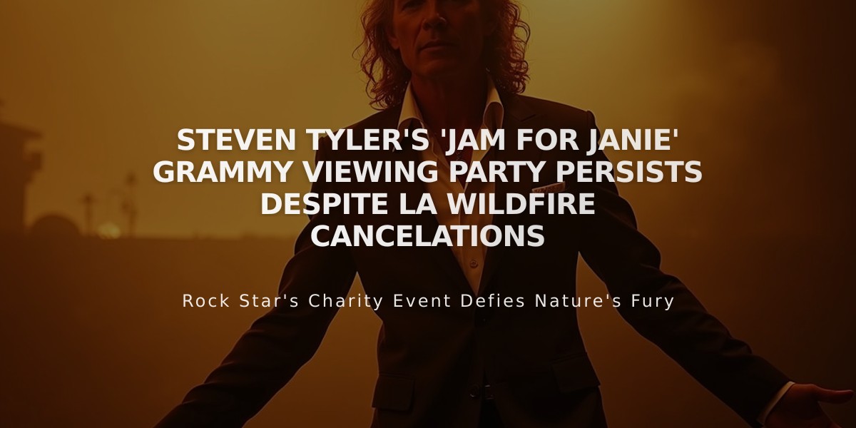 Steven Tyler's 'Jam for Janie' Grammy Viewing Party Persists Despite LA Wildfire Cancelations