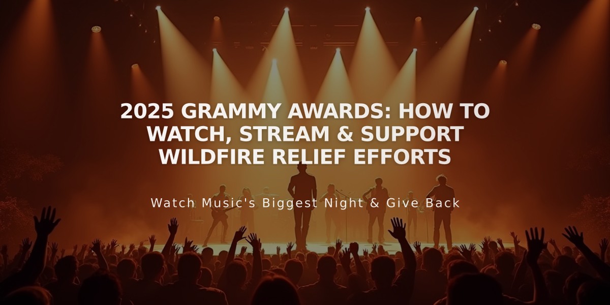 2025 Grammy Awards: How to Watch, Stream & Support Wildfire Relief Efforts