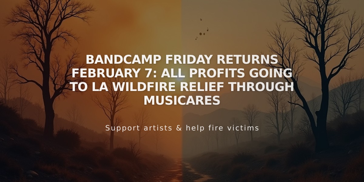 Bandcamp Friday Returns February 7: All Profits Going to LA Wildfire Relief Through MusiCares