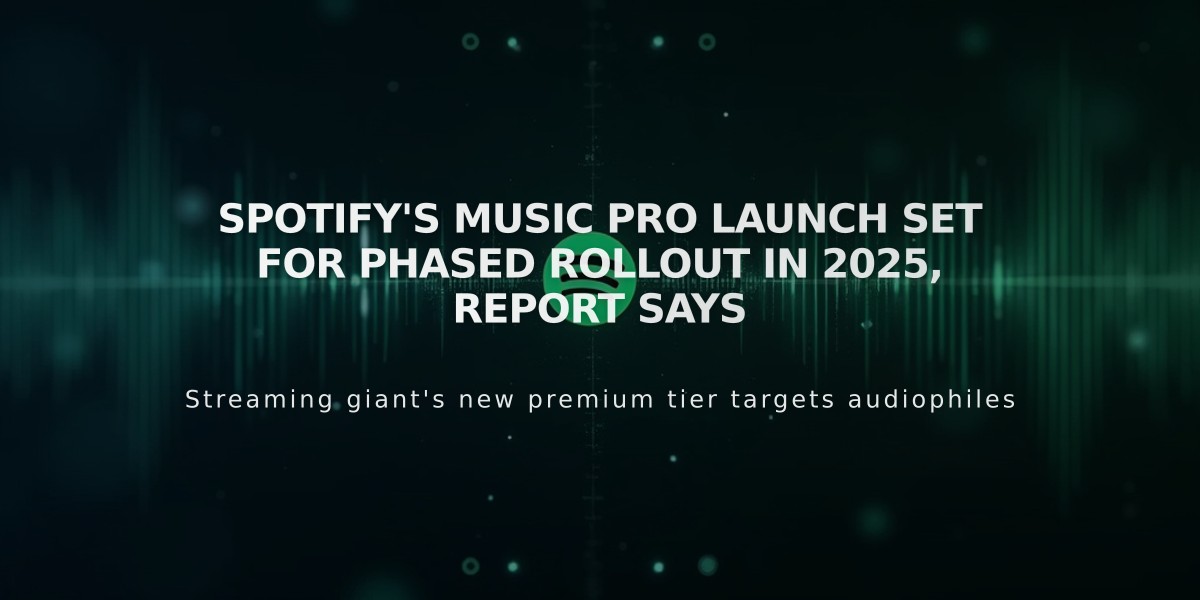 Spotify's Music Pro Launch Set for Phased Rollout in 2025, Report Says