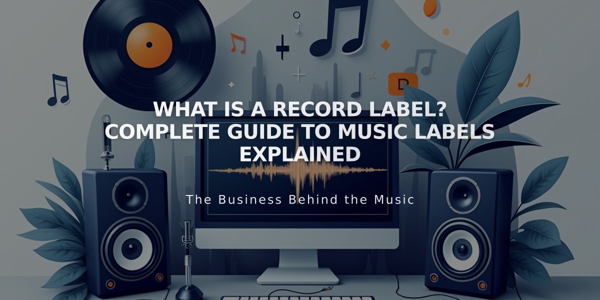 What Is a Record Label? Complete Guide to Music Labels Explained