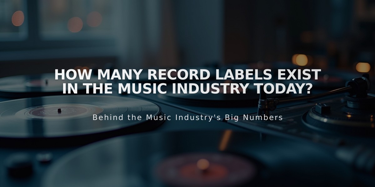 How Many Record Labels Exist in the Music Industry Today?