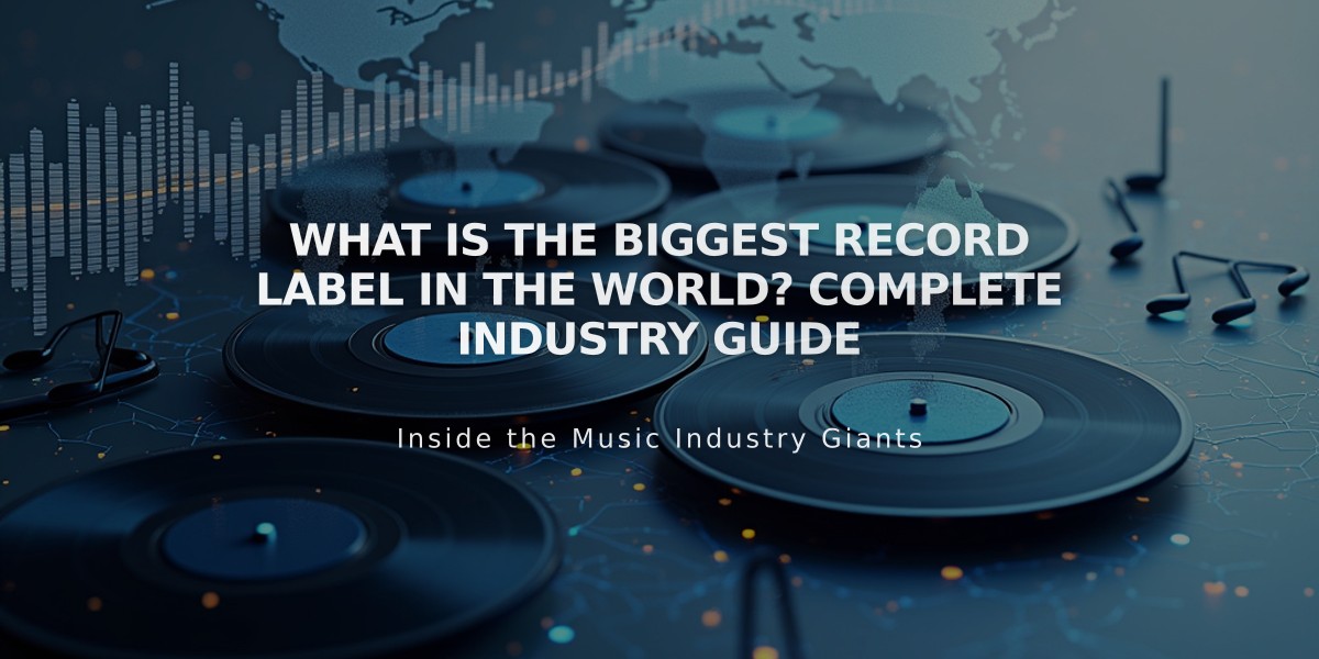 What Is the Biggest Record Label in the World? Complete Industry Guide