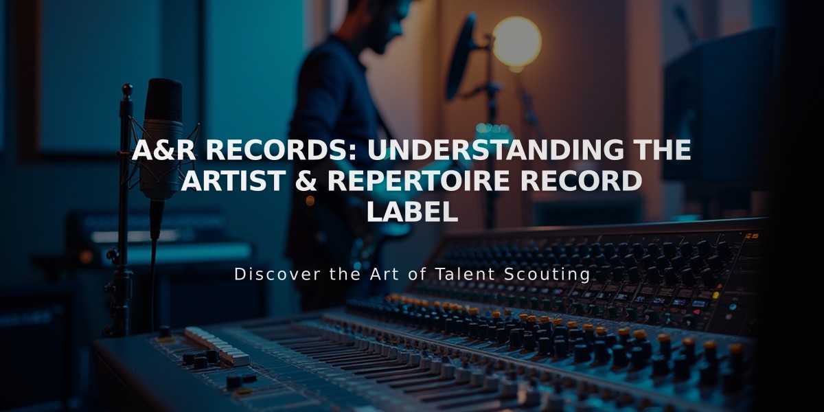 A&R Records: Understanding the Artist & Repertoire Record Label